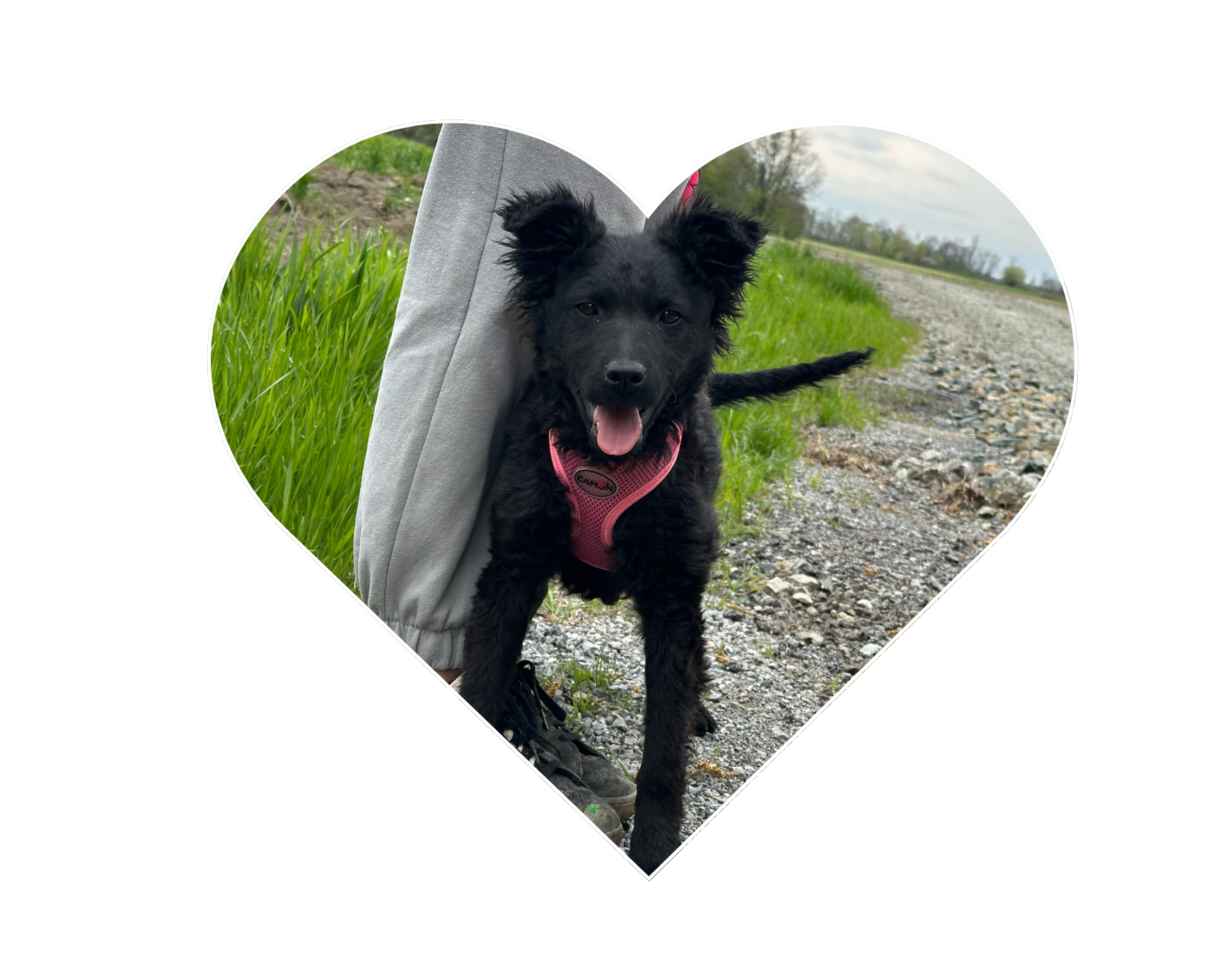 Bella
