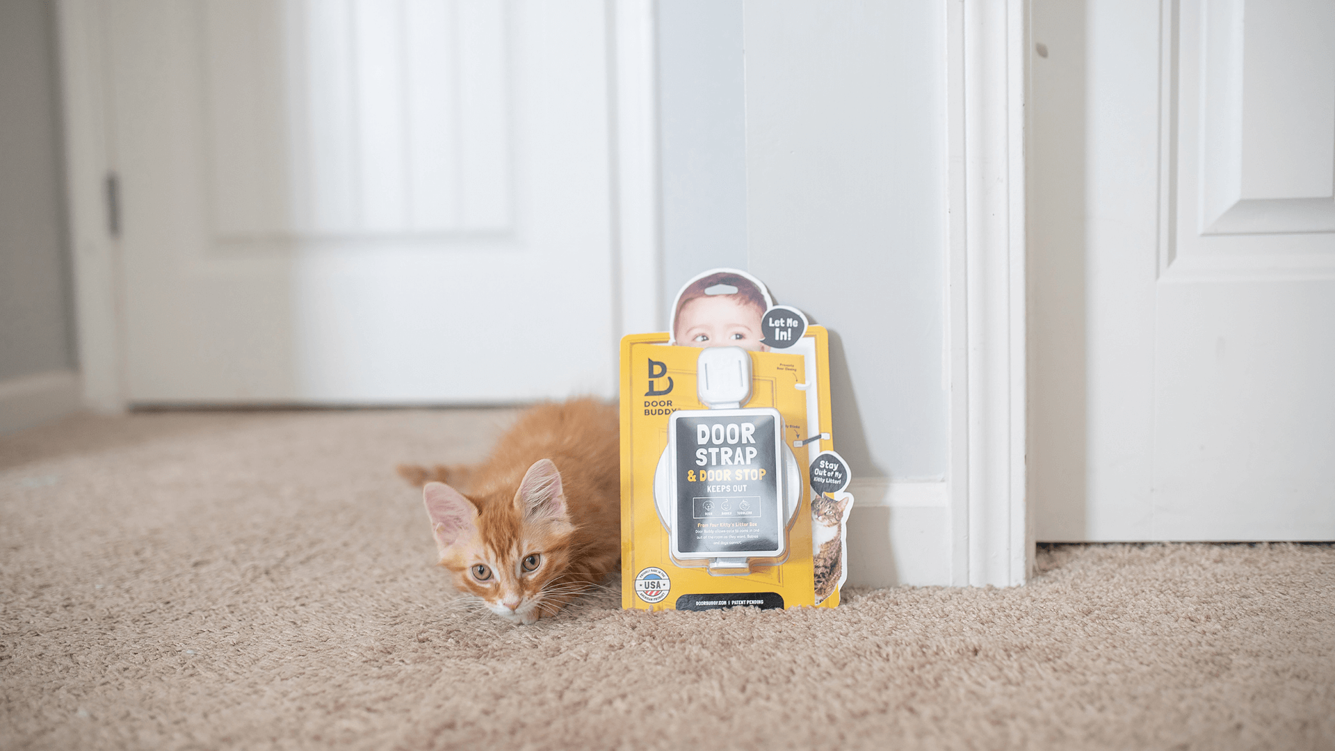 Door Buddy Ambassador Program - Cover image