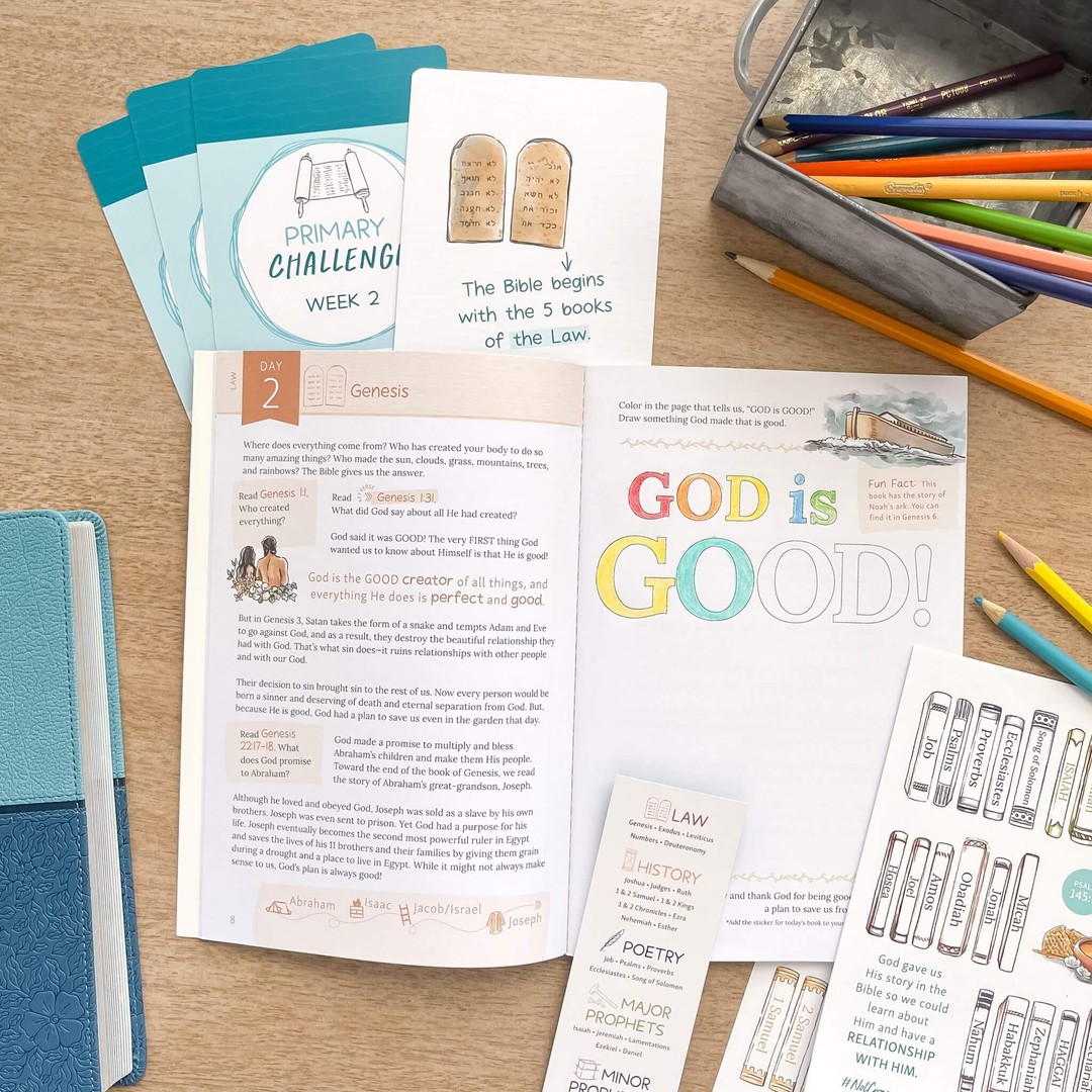 God's Story Old Testament kids bible study