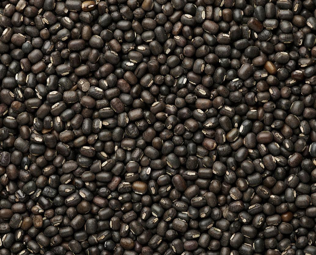 Black gram lentil