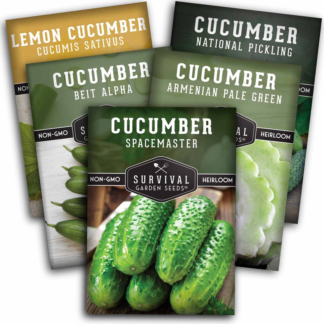 Cucumber Seed collection