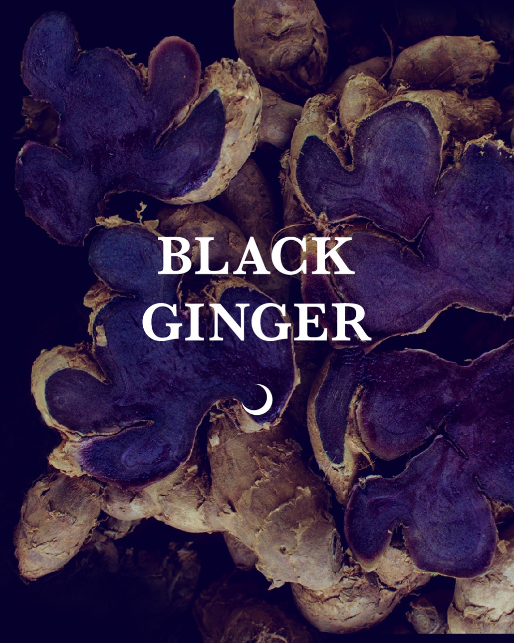 Black Ginger Accord