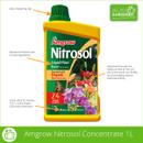 Amgrow Nitrosol liquid plant food concentrate in a yellow 1-litre bottle with green cap, labelled for organic blood and bone and makes up to 250 litres.
