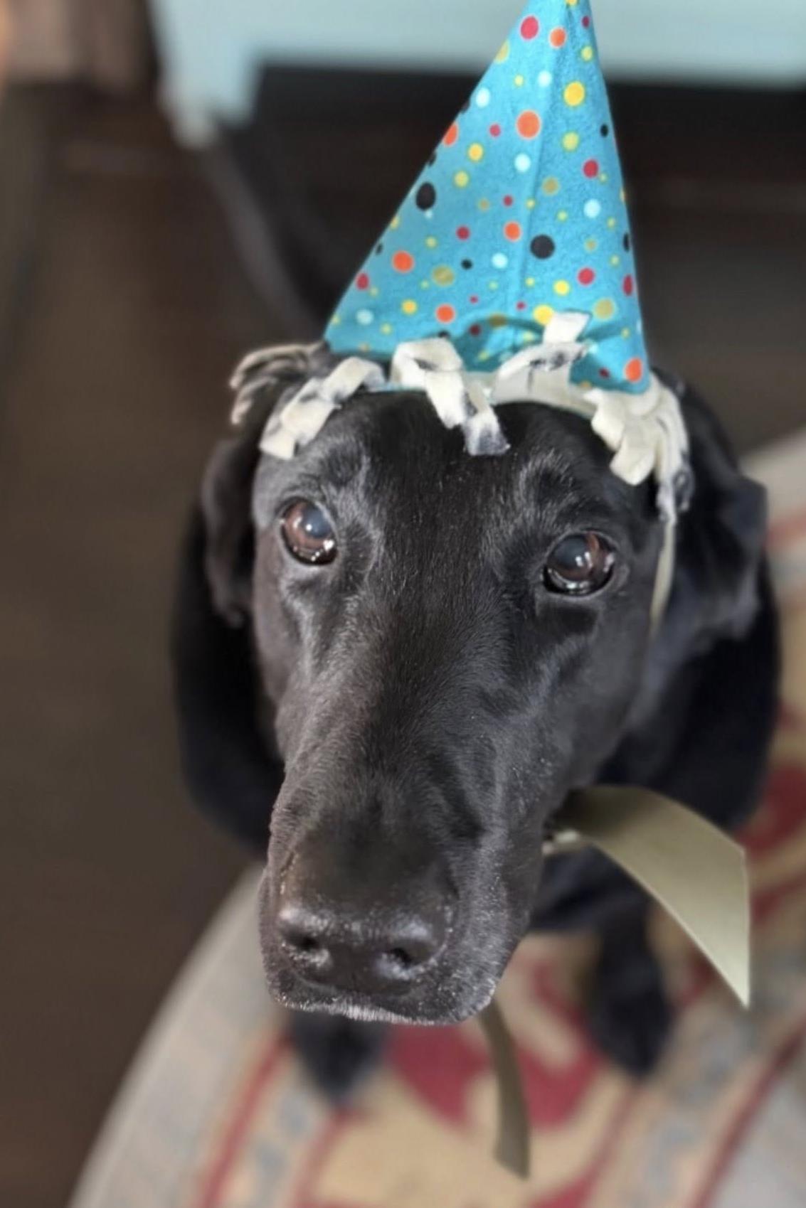 ssd jaye with birthday hat