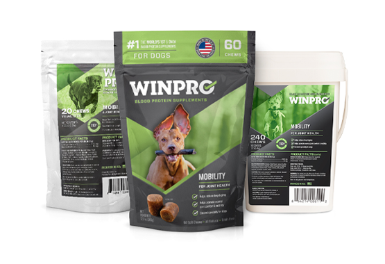 WINPRO MOBILITY
