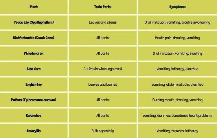 table about what plants are moderately toxic to cats