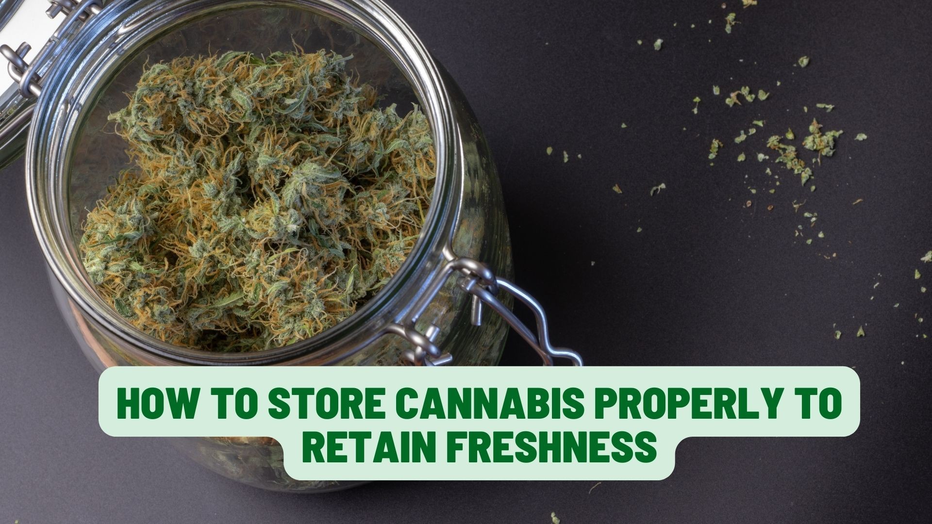 How to Store Cannabis Properly to Retain Freshness