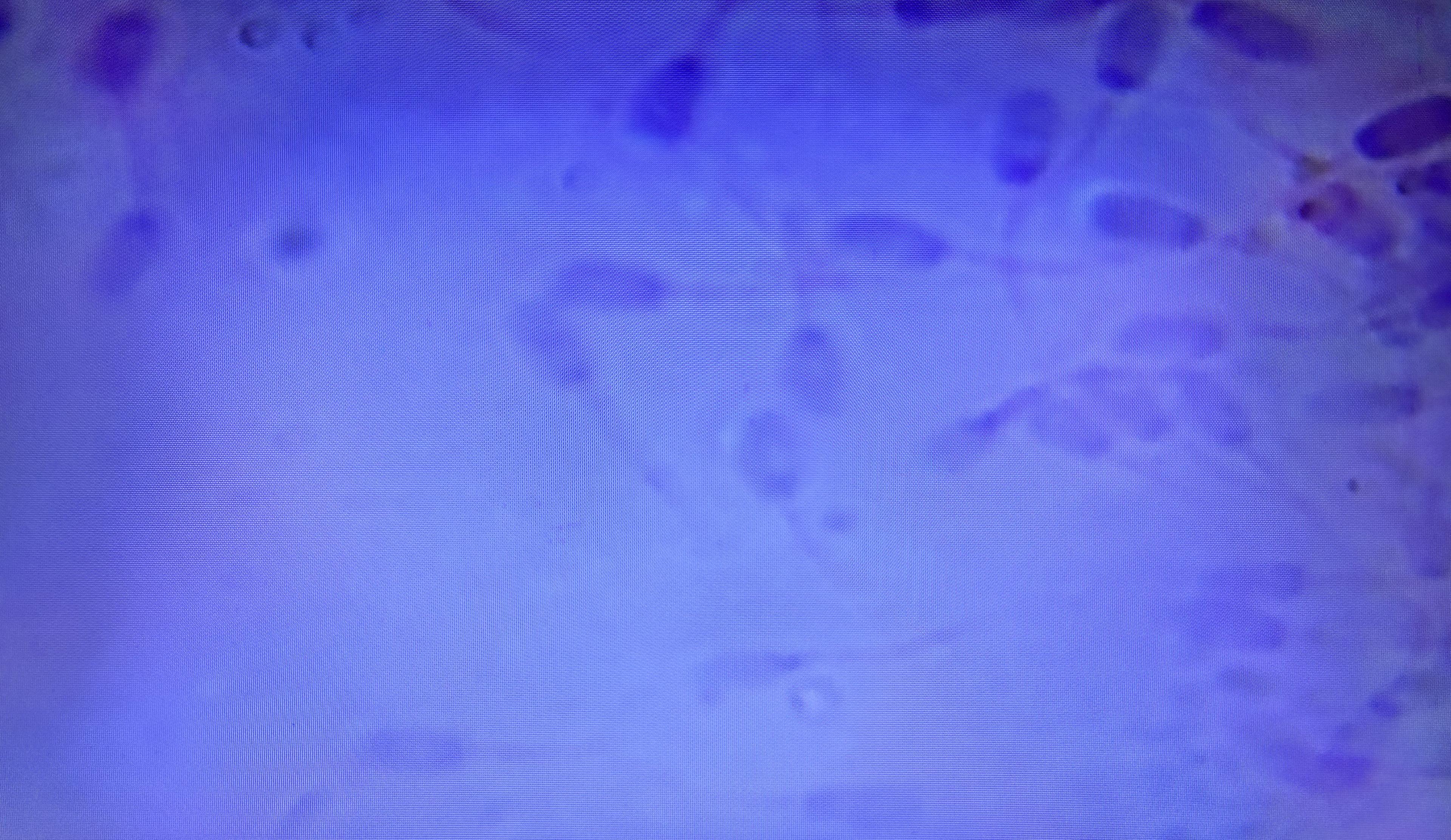 Canine Semen Analysis Microscope
