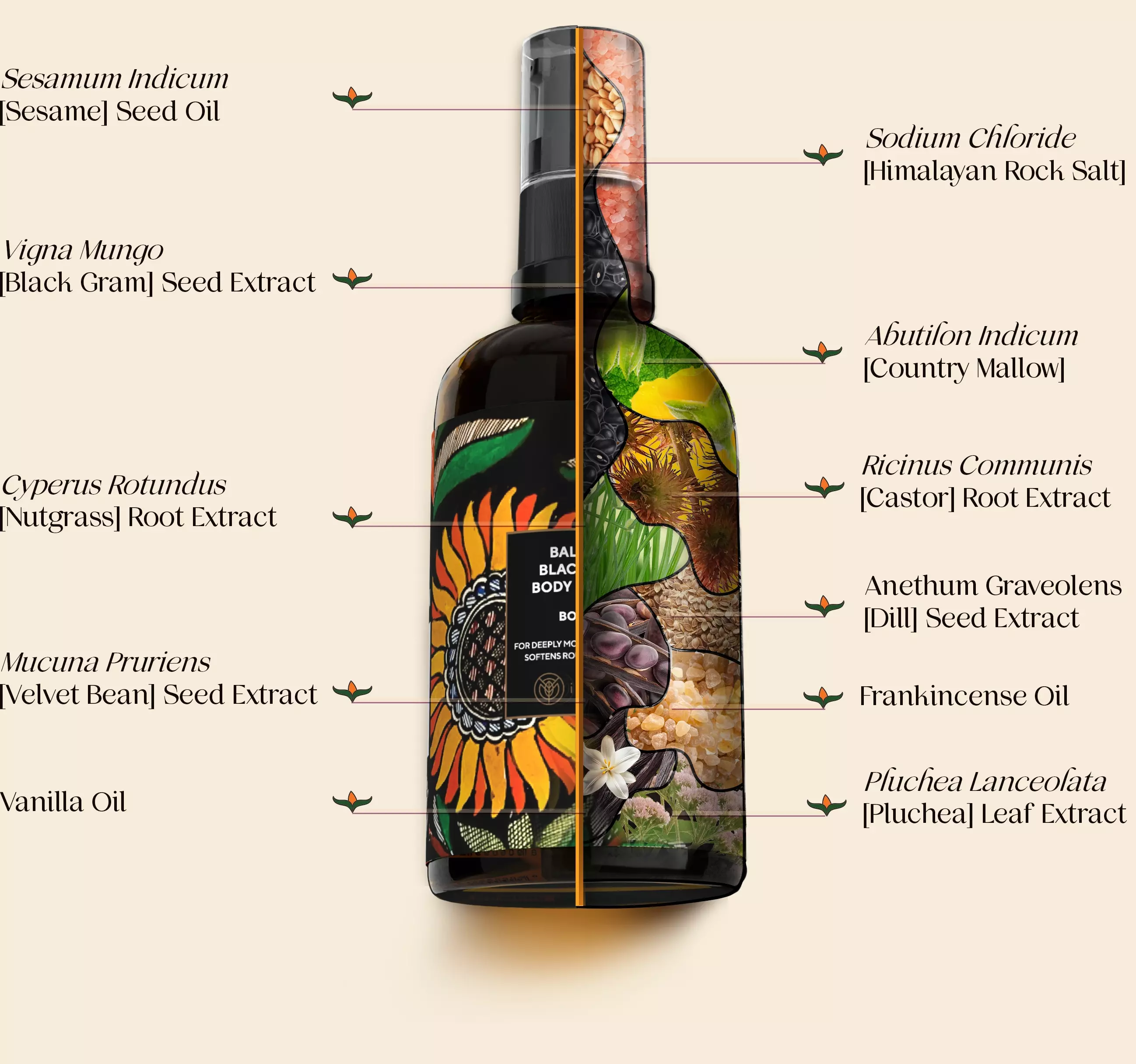 A composition of a bottle of balaayah and it's ingredients with their names
