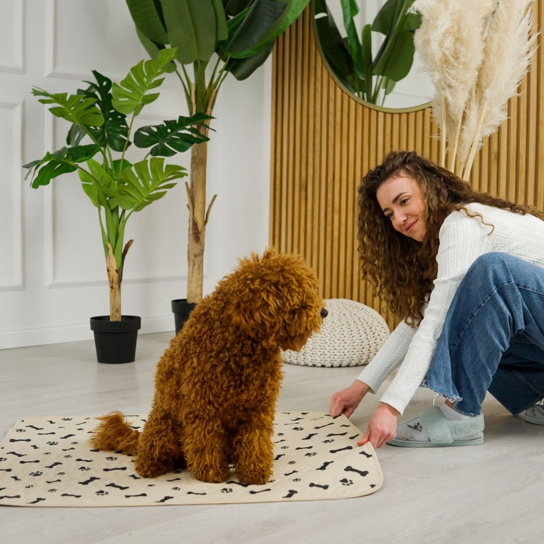 Woman tugging at puppy pee pad on floor