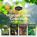 mustard green collection - 4 heirloom seed packets