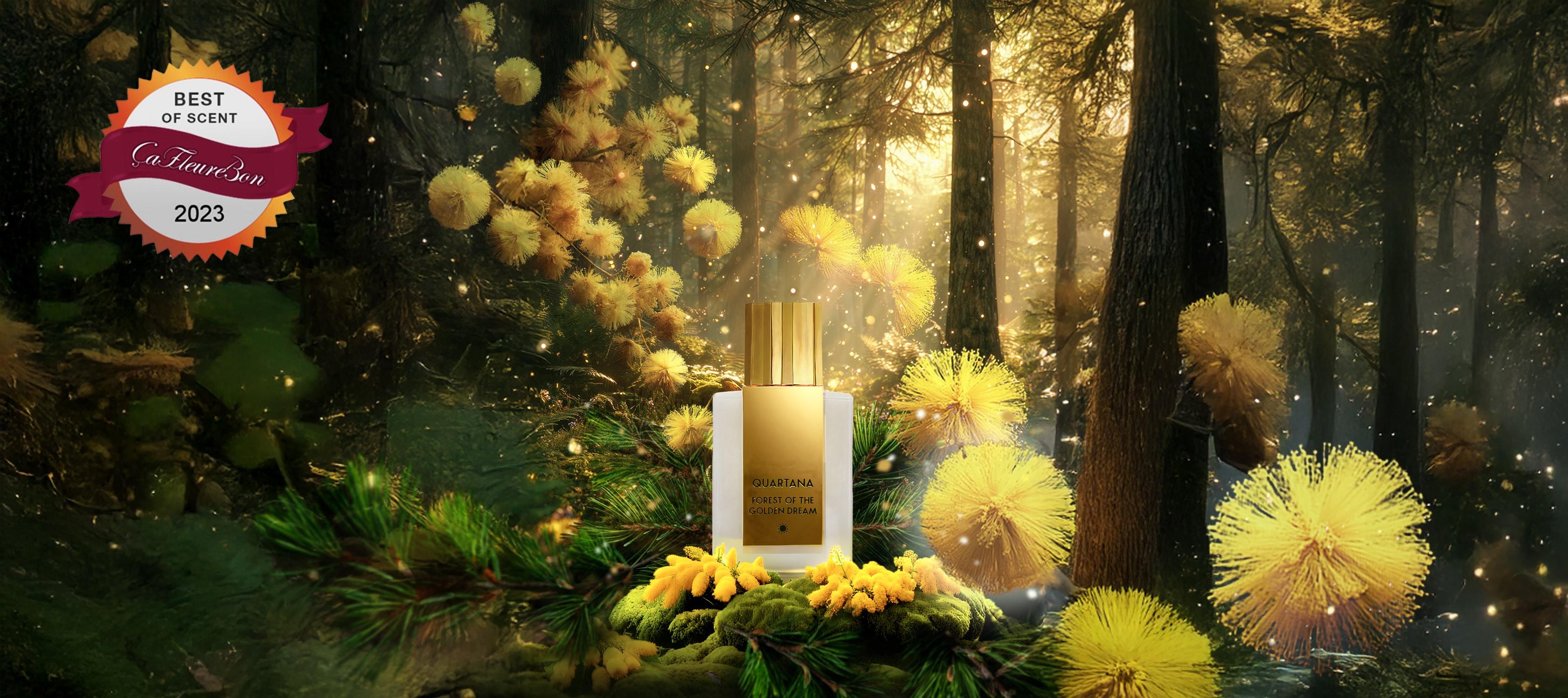 Forest of the Golden Dream by QUARTANA