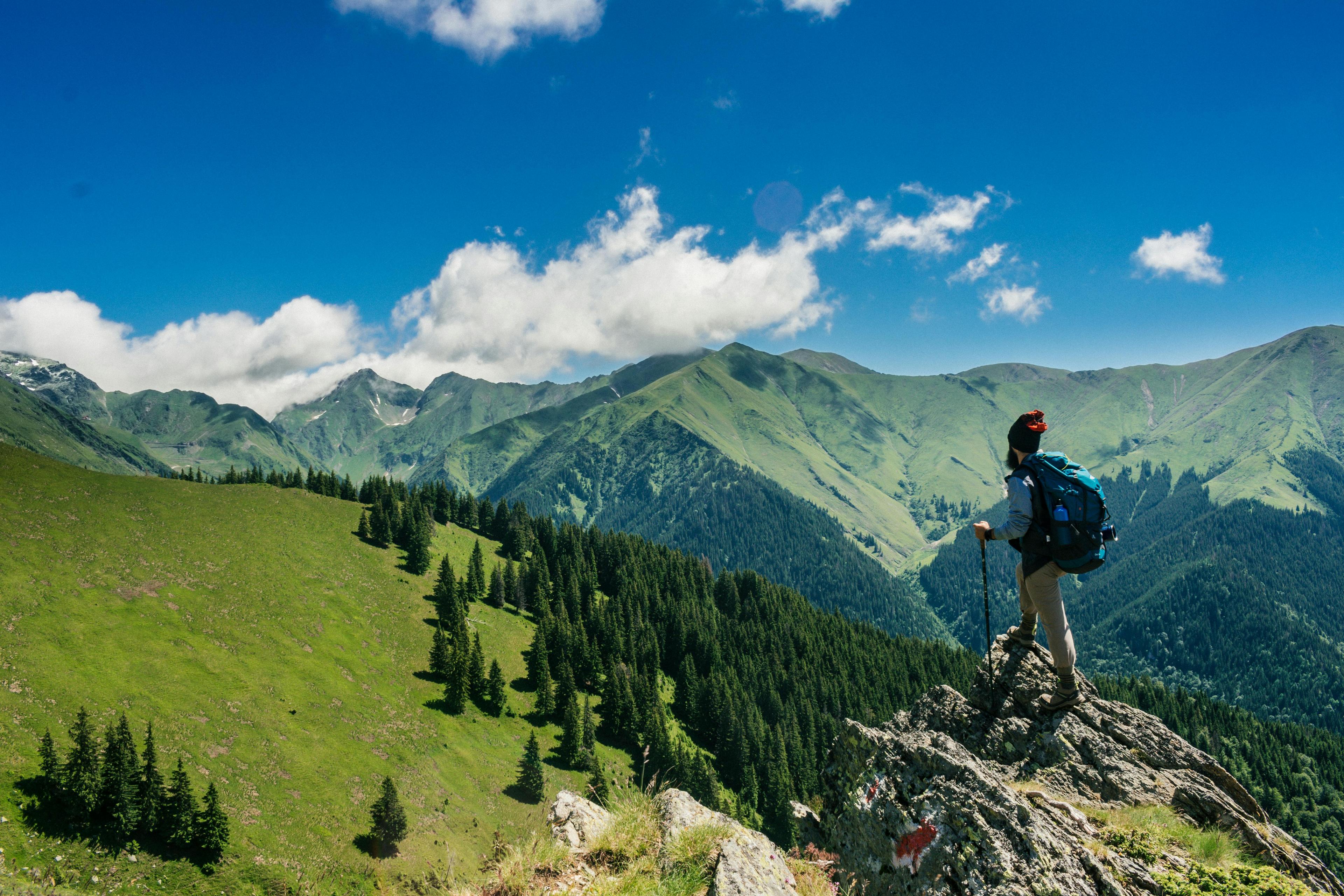 A bearded man on a cliff overlooking a green forest and field