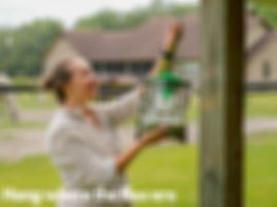 The Fly Hunter - Effortless Fly Control – The Ranch Pest Control