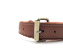 Orchard brown leather collar and Leash Set with antique brass finish buckle.