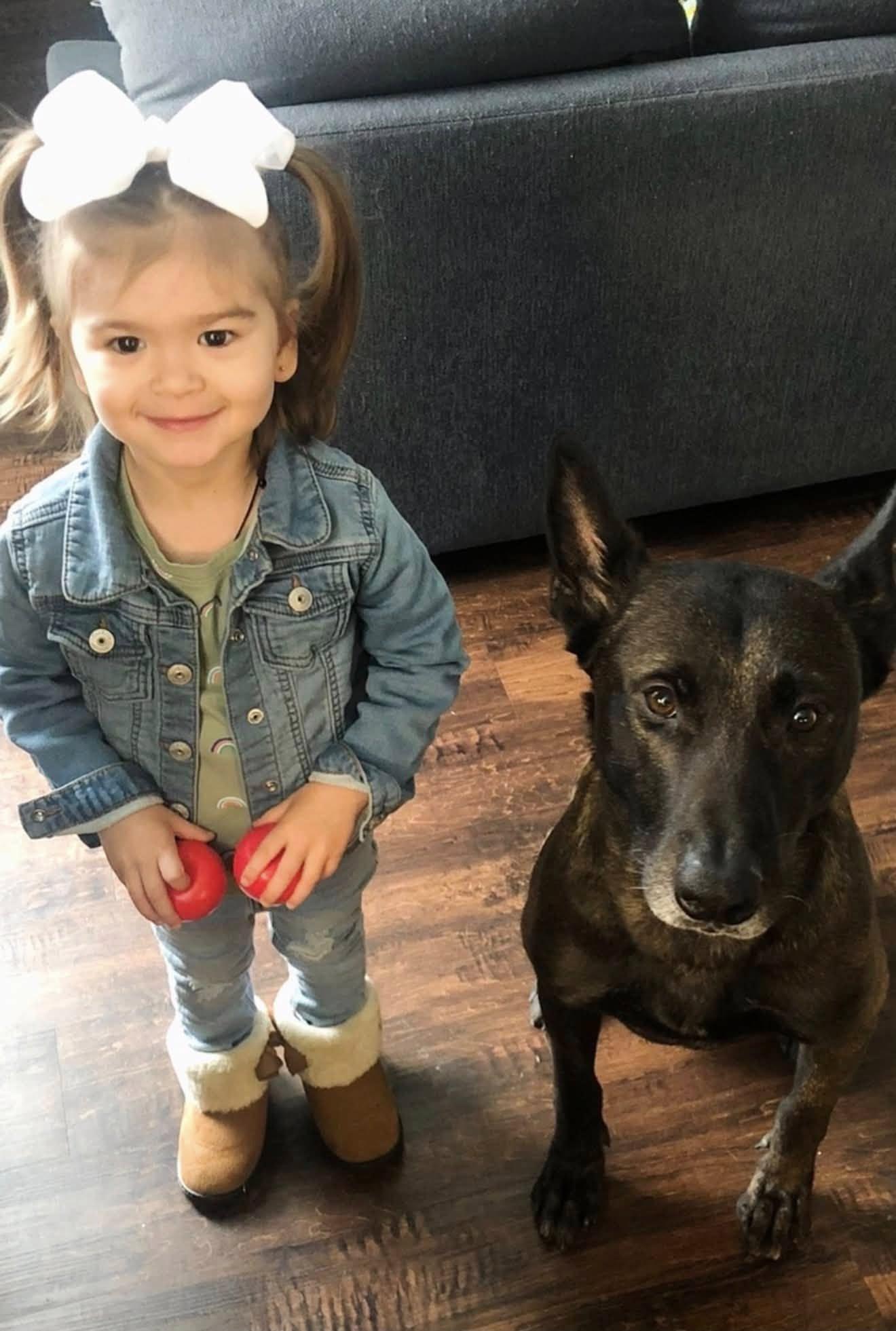 k9 breston