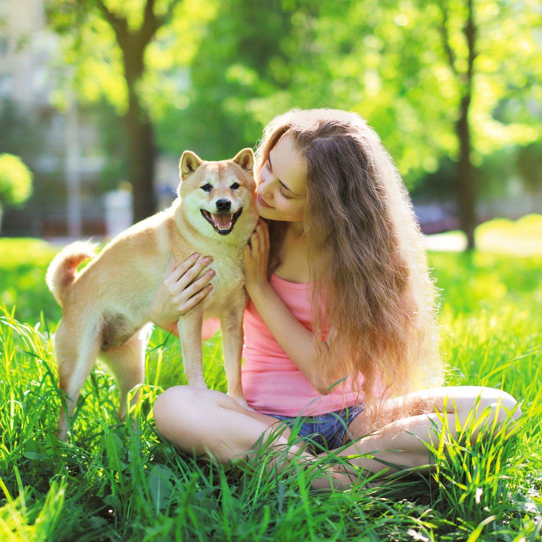 Woman sitting in park with Shiba dog