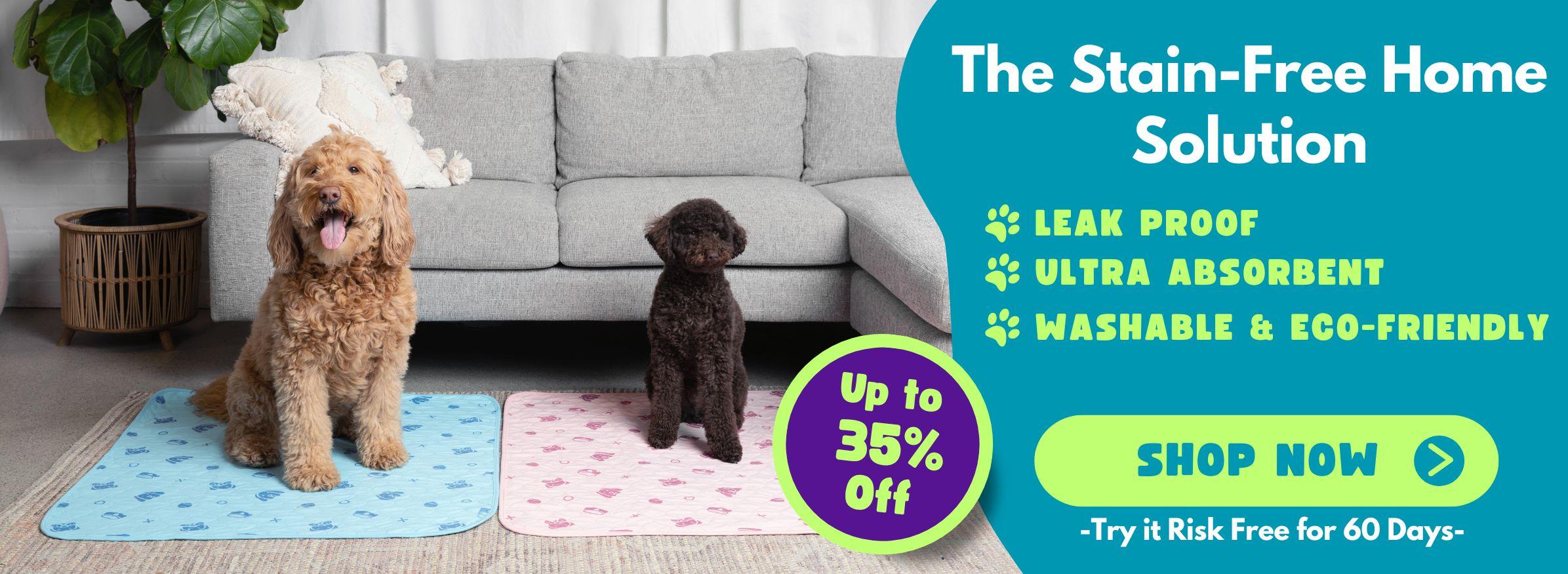 A banner showing two dogs sitting on a blue and pink pee pad