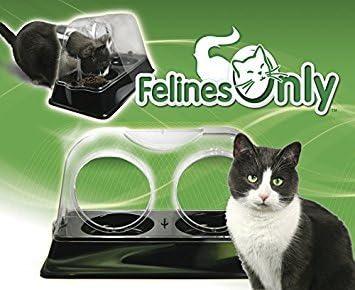 felines only cat feeder