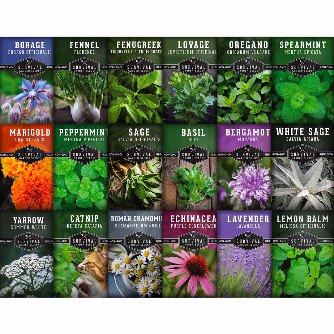 Survival Garden Seeds Beautiful Flower Collection - Hollyhock, Shasta Daisy, Purple Coneflower (Echinacea), Crackerjack Marigold, California Giant
