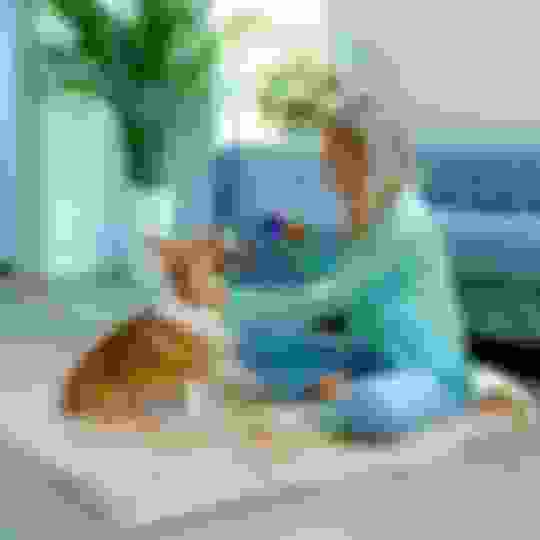 Waterproof Pet Blankets Potty Buddy™