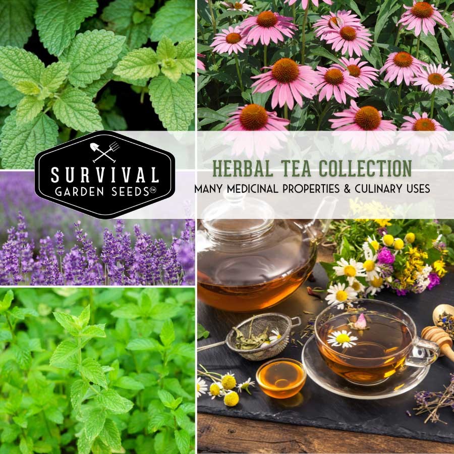 Herbal Tea Seed Collection - 5 Herb and Flower Seed Varieties for Tea