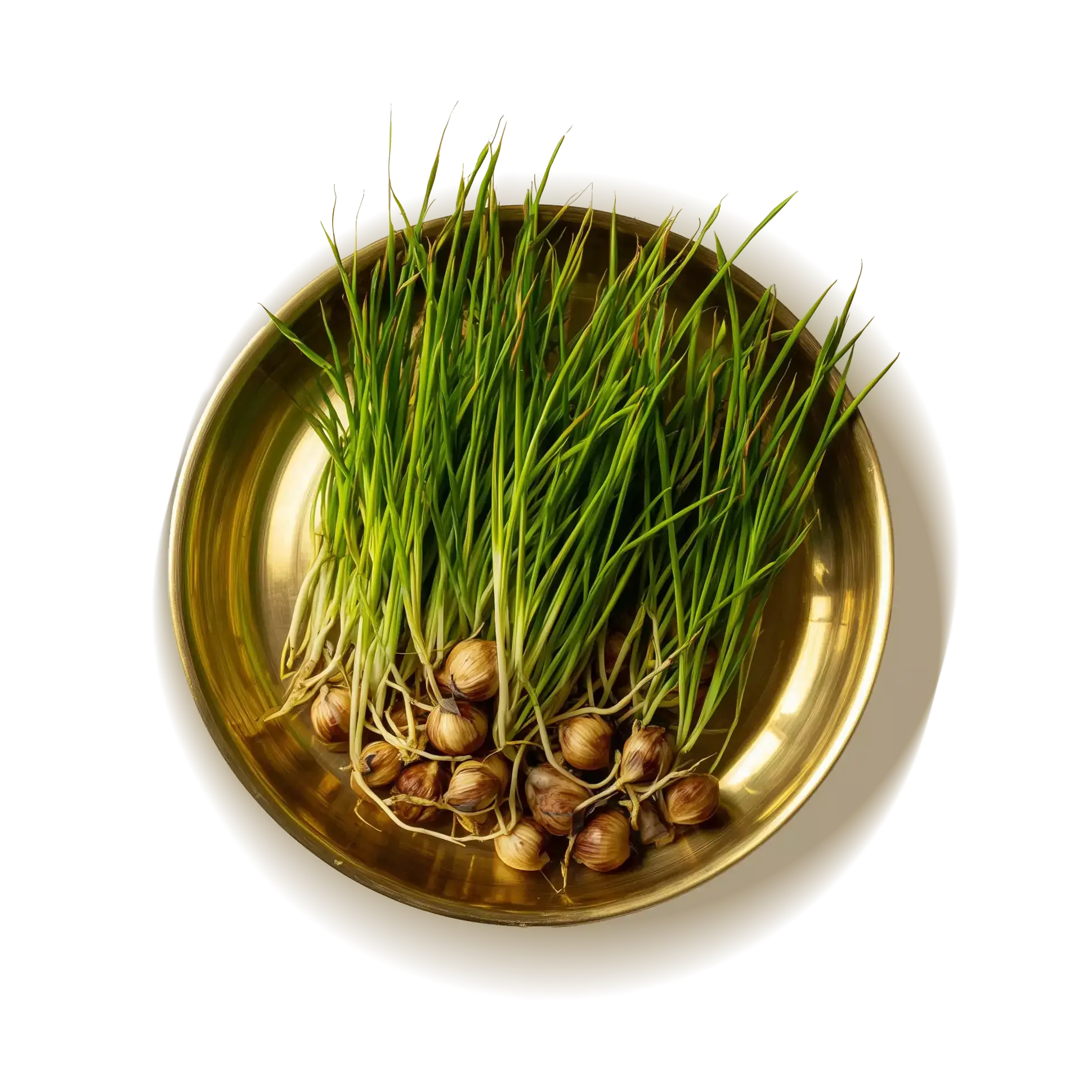 A bowl of nut grass surrounded by floral artworks