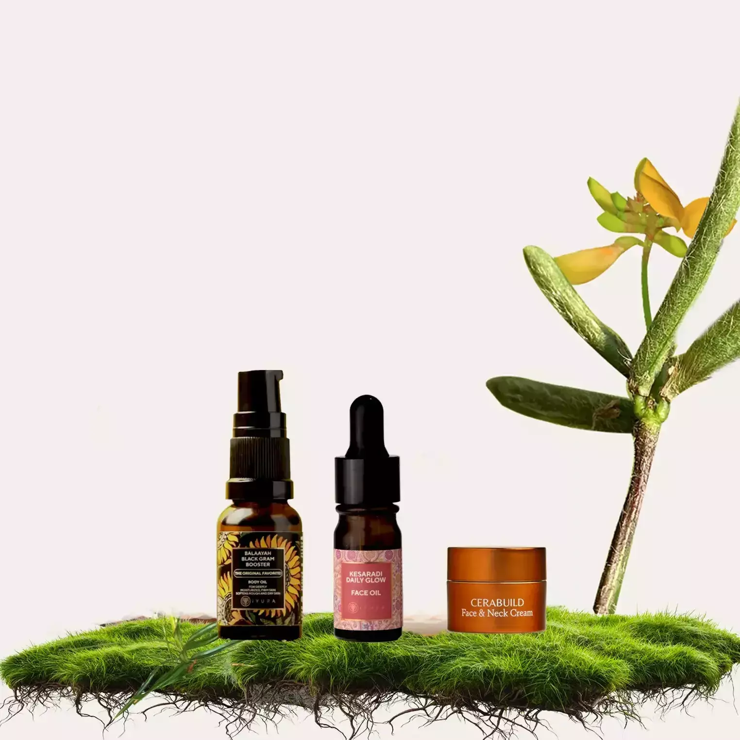 Build your travel kit