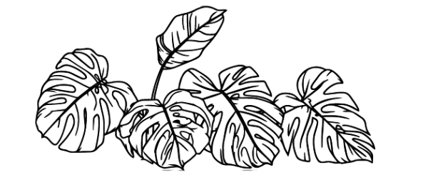 High-resolution image showcasing the four distinct Monstera leaf patterns used in the decal collection. The graphic features minimalist, biophilic linework perfect for modern home decor, confirming the artwork’s seamless application across all Prism modular glass surfaces.