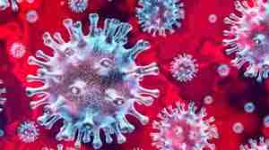 corona virus pandemic