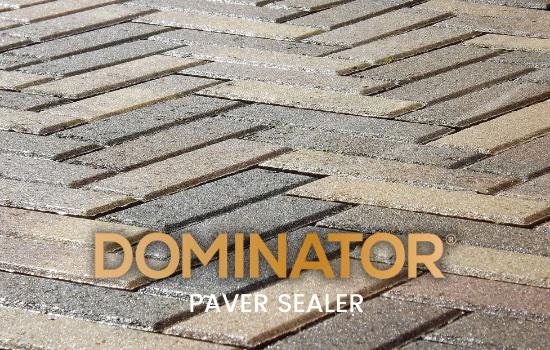 DOMINATOR Paver Sealer