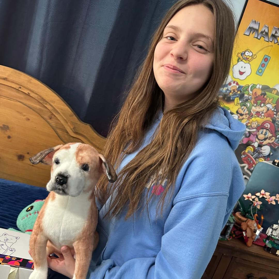 Personalized stuffed animal plush based on your pet
