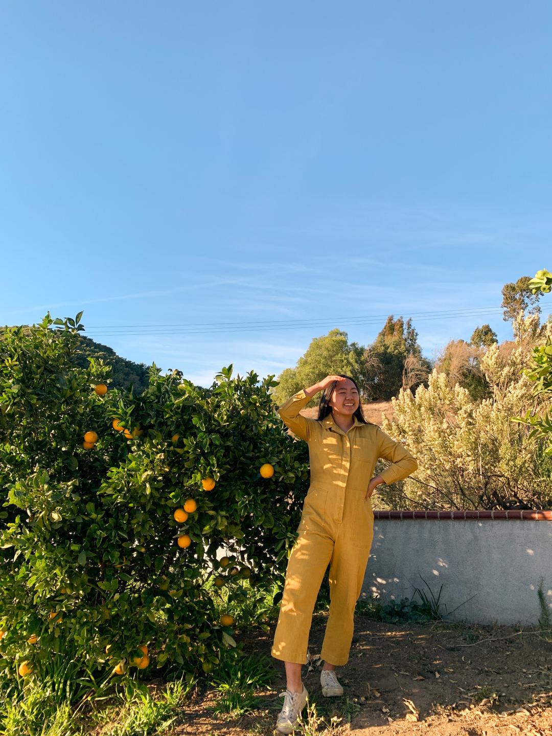 Ambassador Shirley | Guide Coverall Honey