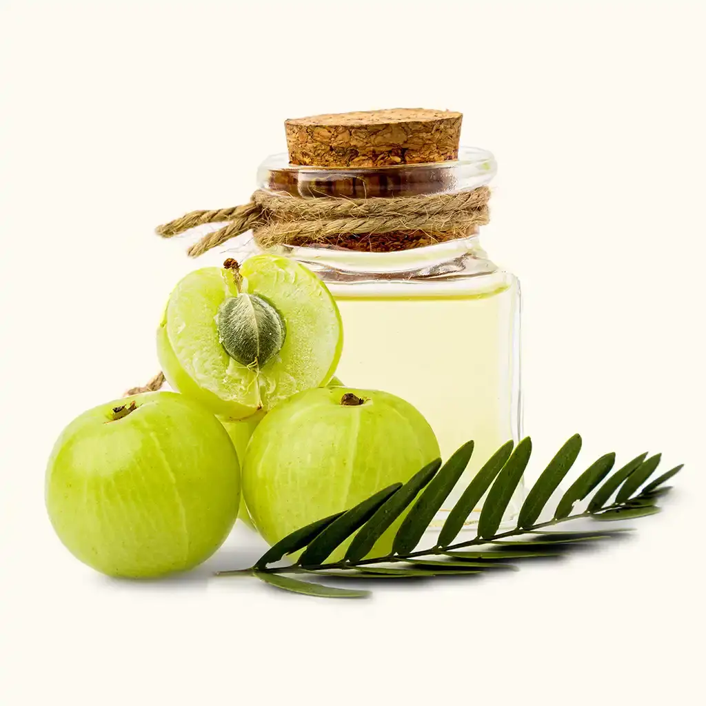 Rice Bran Oil