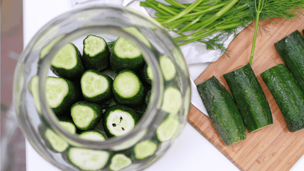 Teraganix effective microorganism pro em-1 probiotic how to pickle vegetables