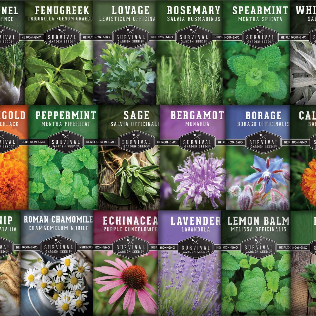 Medicinal Herb Seed Collection