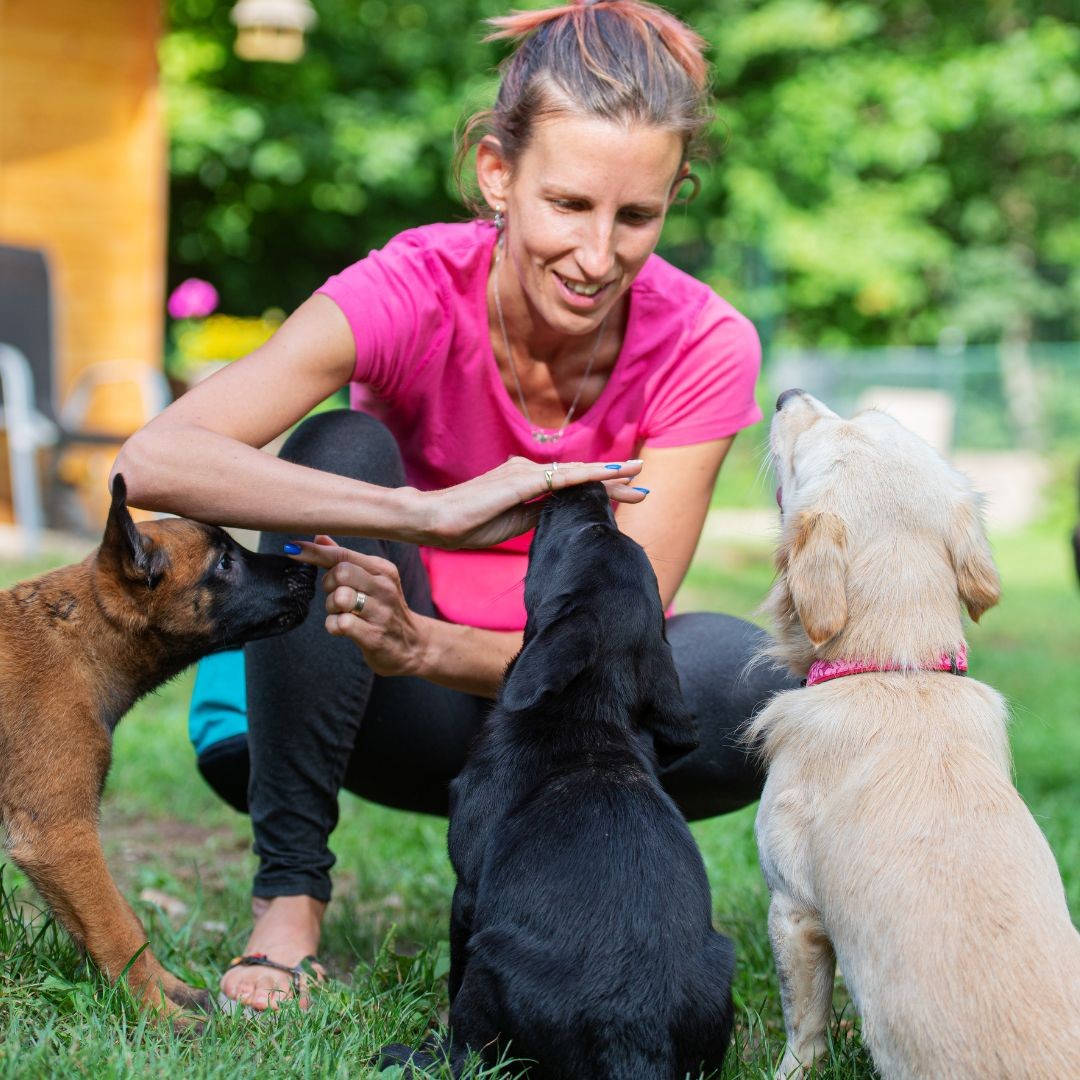 Woman training puppies