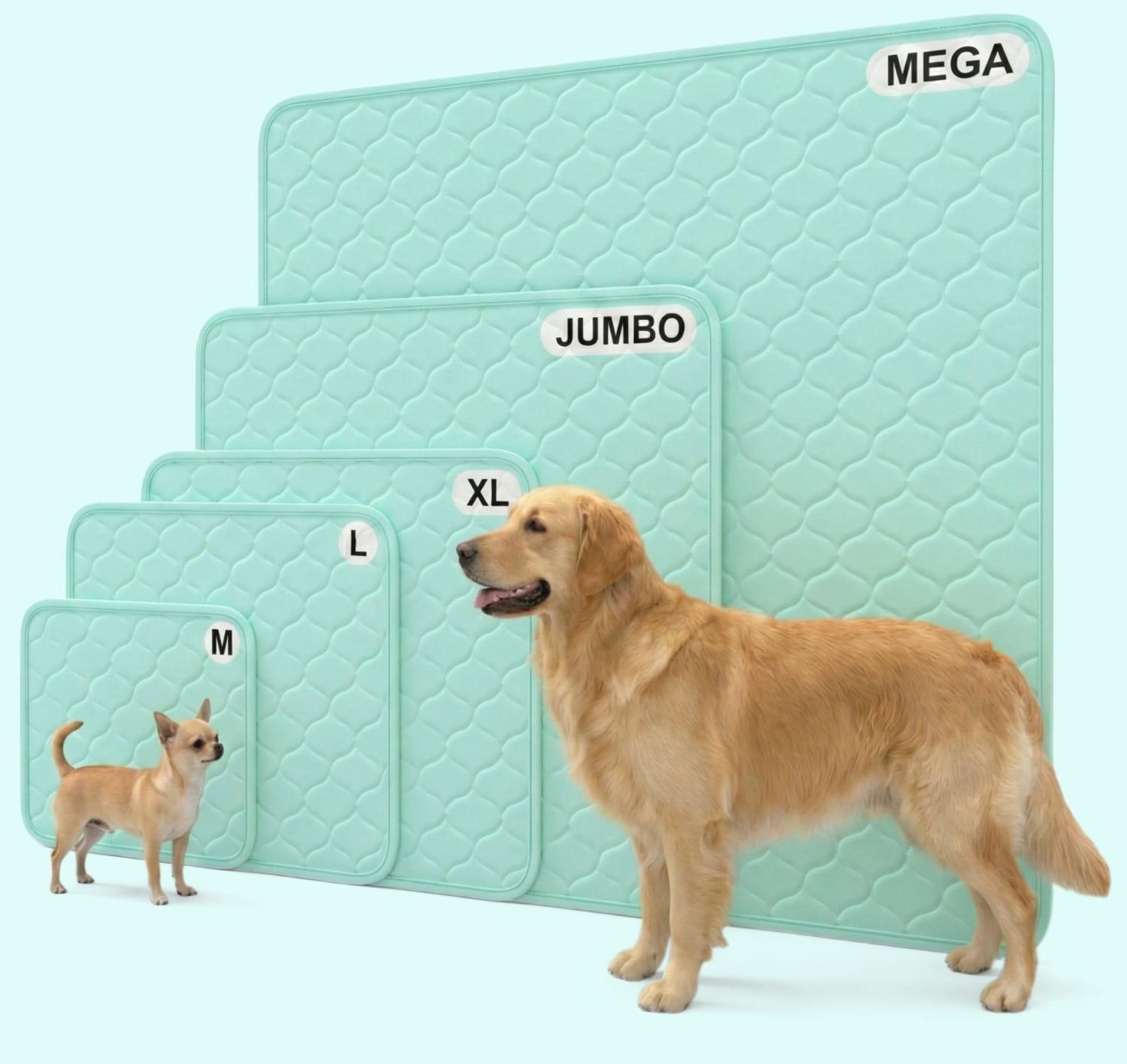 A diagram showing the various size options of the Potty Buddy reusable potty pad