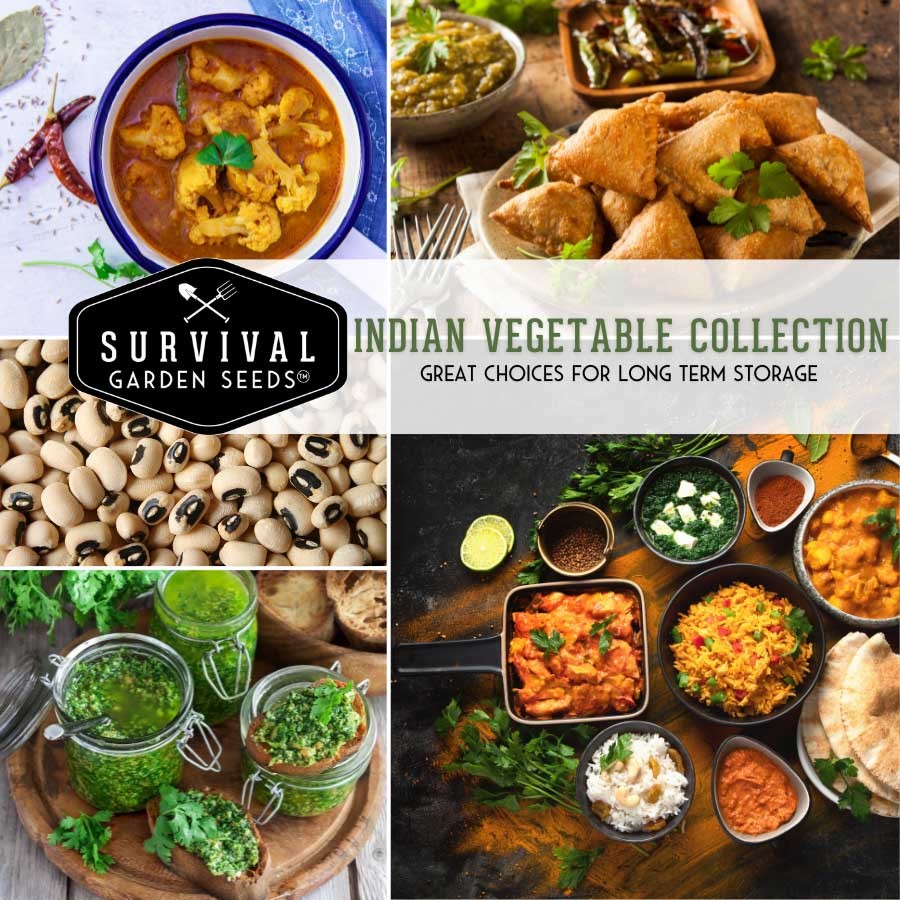Indian Vegetable Seed Collection