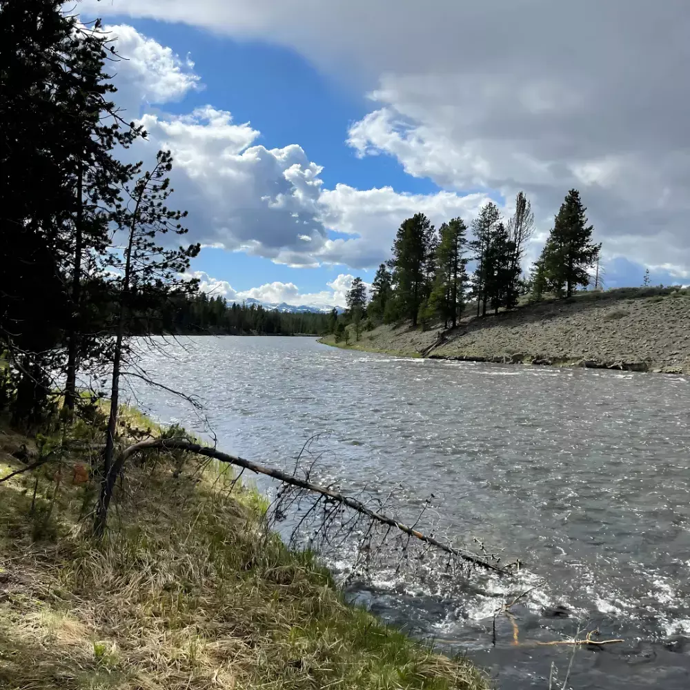 Madison River