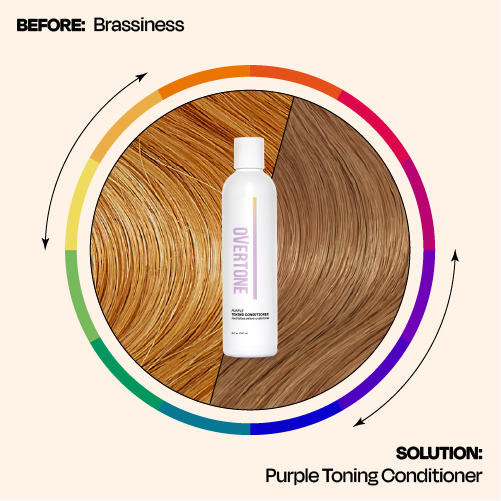 The Hair Color Wheel: Color Neutralization & Tone Correction Explained ...