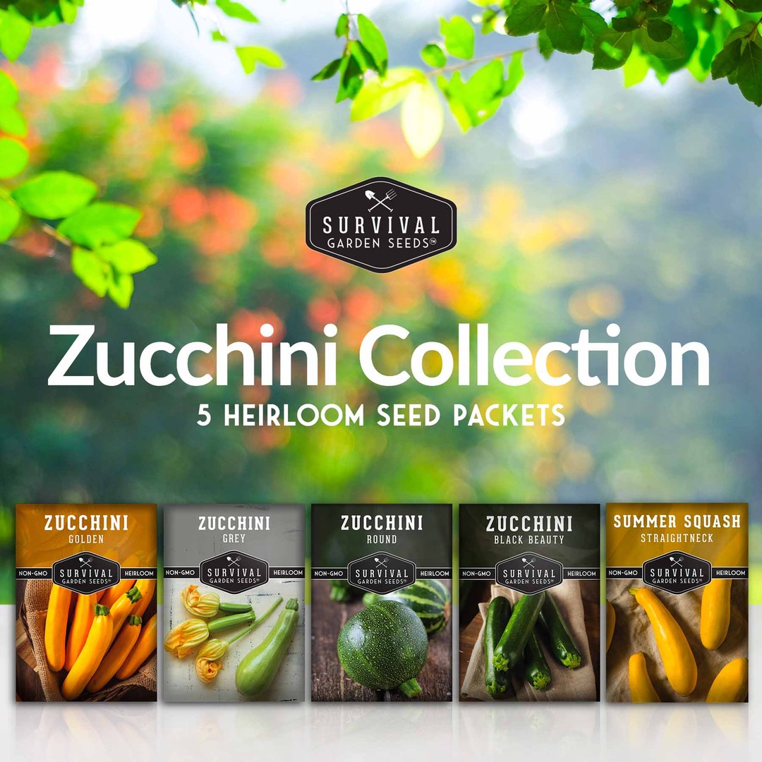 Zucchini Seed Collection - 5 heirloom squash seed packets