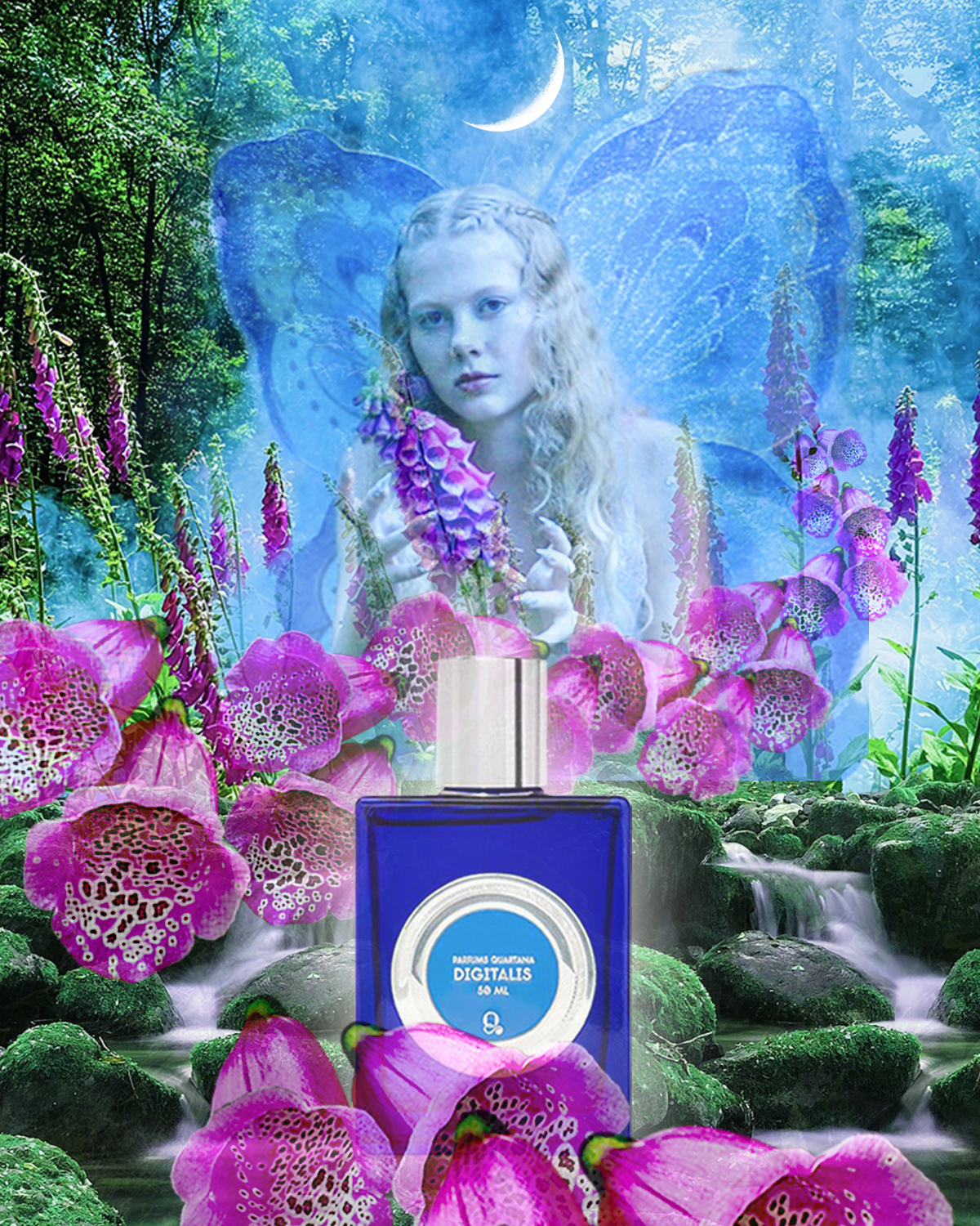 Digitalis by QUARTANA