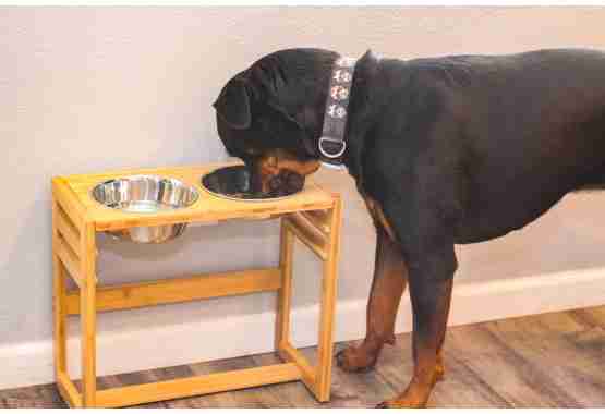 large raised dog bowls made of bamboo fit perfectly with any decor