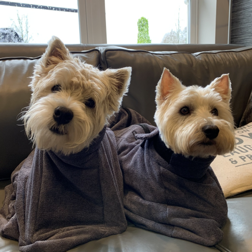 Luxury Dog Drying Bag Pawdaw of London