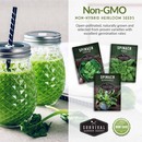 Non-GMO, non-hybrid, heirloom spinach seeds
