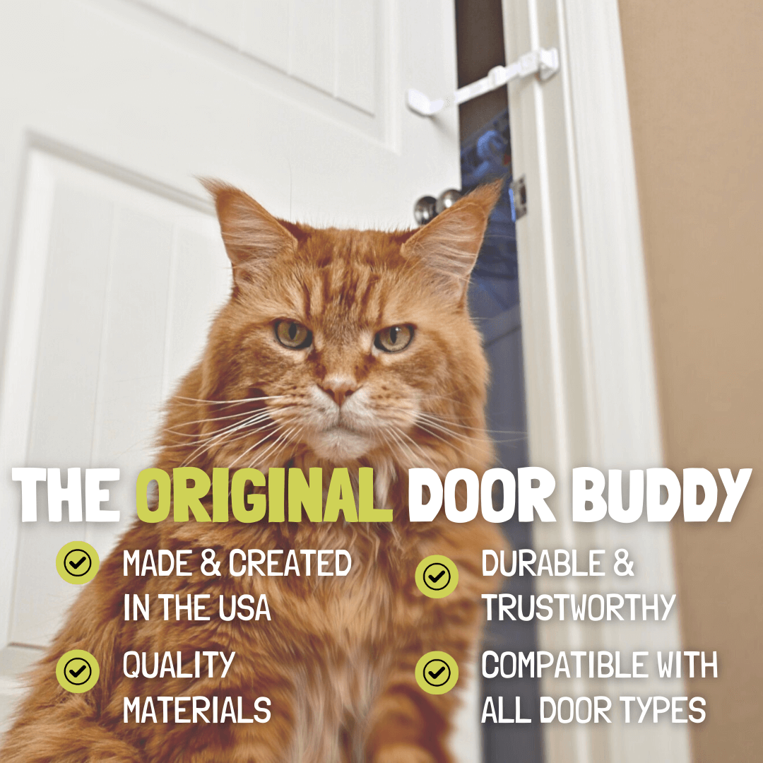 Door Buddy - cat door indoor gates with cat door
