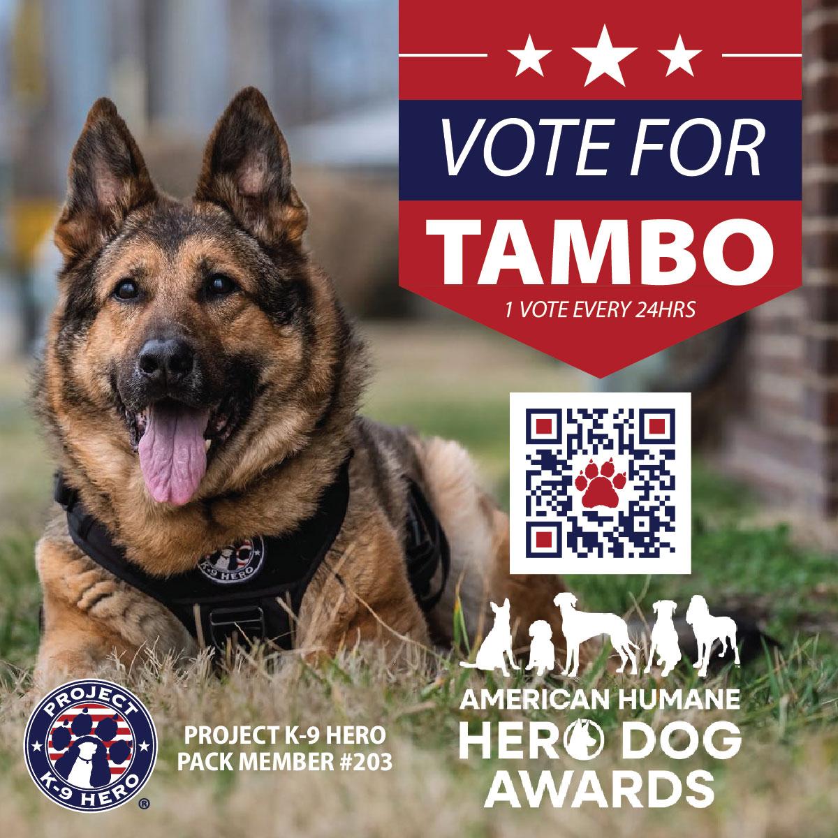 vote for tambo once a day