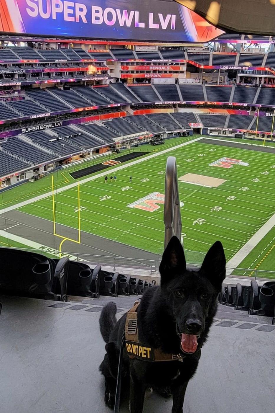 areck at the super bowl lvi