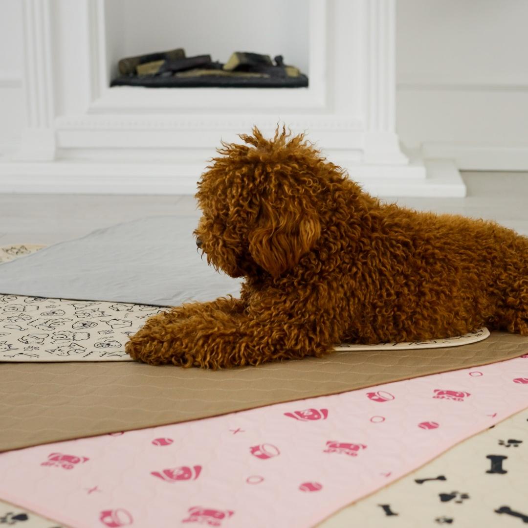 A dog on top of multiple Potty Buddy pads
